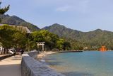 IMG_8553.jpg