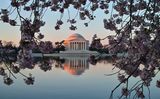 JeffersonMemorial_P2M1340.jpg