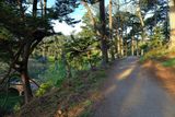 Path to Summit
