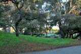 Whiskey Hill