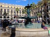 Plaa Reial