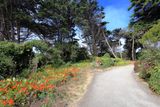 Path Entrance