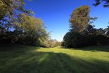 Bunny Meadow
