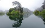 Fog Blanketed Lake