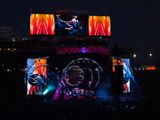 Bruce Spotlight