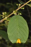 g 4B8A4653.JPG