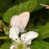 Azure 0H7A6695.JPG