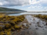Harbour, Moy Castle, Loch Buie (7/6/2024)