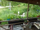 12 Jun Garden boxes 1 and 2