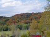 26 Oct Somemore Fall color
