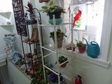17 Oct Violet shelves 