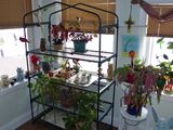 3 Jan Sunroom - Right side
