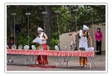 may 6 spinning plates.jpg