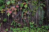 DSC_0432_00001.jpg