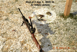 1 RWS 54 Starlings Hobbys.png