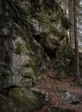 Forest guard #3