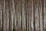 130423-033.jpg