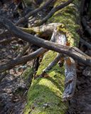 110423-037.jpg