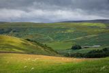 190823-161.jpg