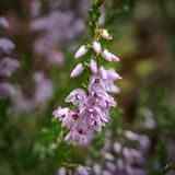 180823-234.jpg