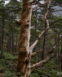 260823-261.jpg
