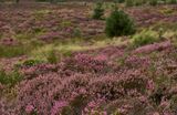 180823-363.jpg