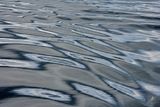 240823-386.jpg