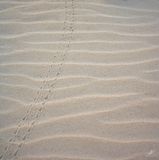 031123-083.jpg