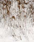 241223-115.jpg