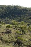 Porcupine Gorge landscape