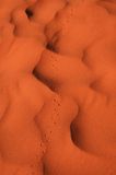 tracks in sand