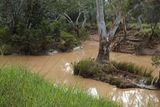 Bulloo River