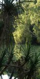 Gregory River