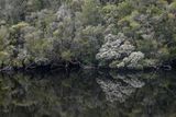 riverbank