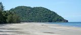 where the rainforest meets the sea