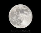 Beaver Moon