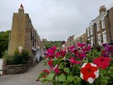 7th June 2025 - a floral display along Castle Street
