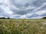 8th June 2025 - moody skies above the fields