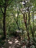 1st July 2025 - gate into the woods