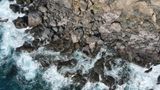 DT 10 nov 2022_DJI_0919