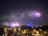 IMG_009661.jpg