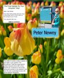 Peters adopted tulip.jpg