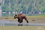 fleeing young male