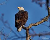 female waiting for partner