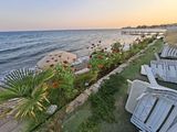 IMG_202508082.jpg 