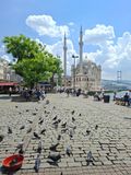 IMG_20250529.jpg
