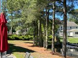 backyard 1.jpg