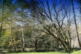 Palude moretto