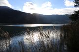 Weissensee (Carinthia)