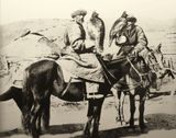 Falconers